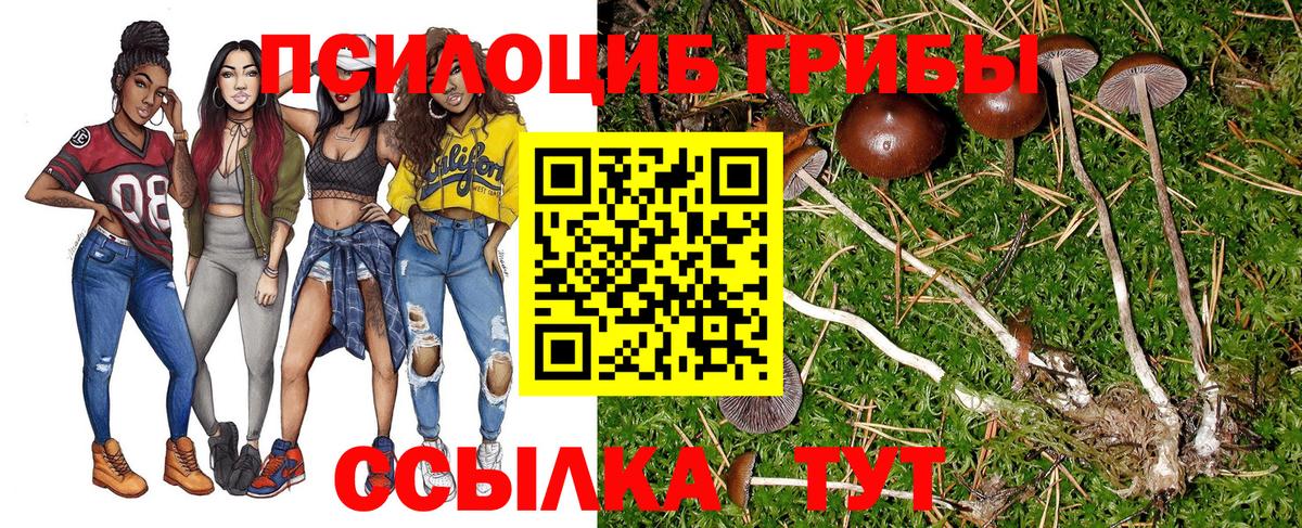 Миллерово  Галлюциногенные грибы GOLDEN TEACHER  Вход с VPN 